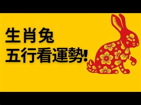 屬兔的五行|【屬兔生肖及五行】屬兔五行屬什么生肖兔五行喜忌查。